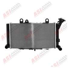 Radiatore in alluminio con