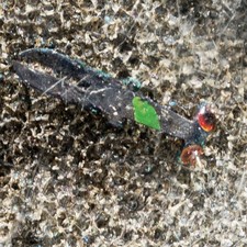 NOS Walco W-98DS Ago