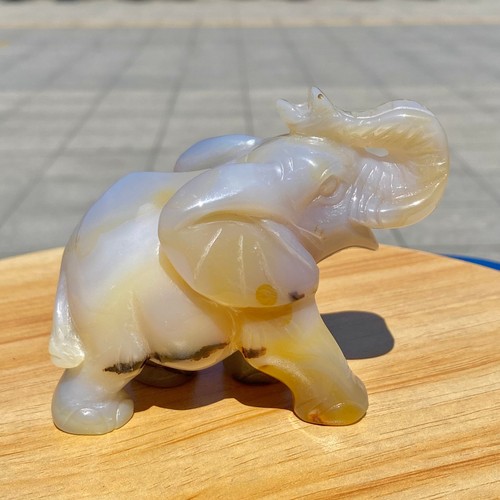 Elefante cristallo intagliato
