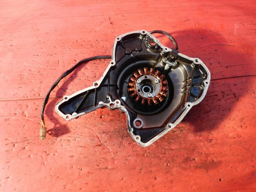 Carter statore magnete ducati - carter,