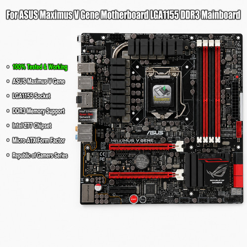 Per asus maximus gene - per,