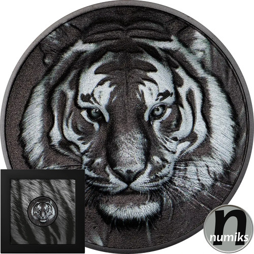 Tiger black and - tiger,