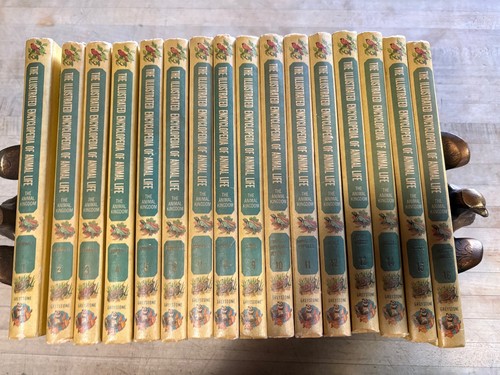 Vintage illustrated - 16,