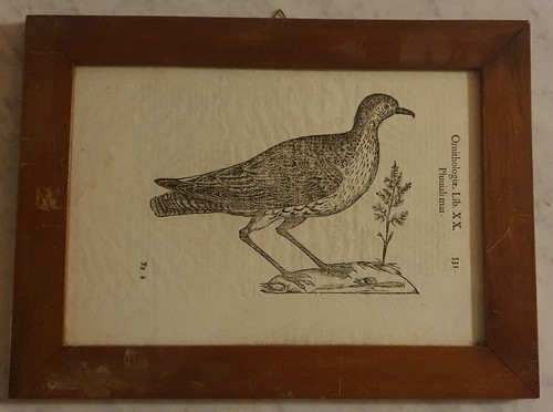 Xilografia originale 1599 - originale,