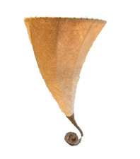 Applique da Parete Stile