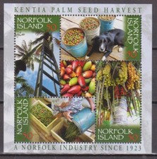 Norfolk Isl 2007 Kentia palm