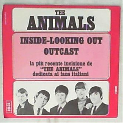 The animals inside looking - the,