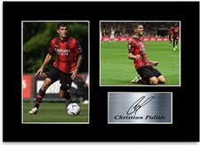 Poster Christian Pulisic