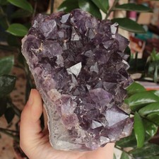 Drusa Grezzo AMETISTA Geode