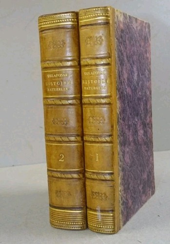 Précis élémentaire histoire - élémentaire,