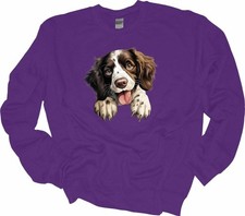 Peeking English Springer