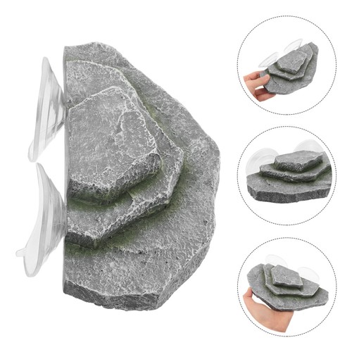 Piattaforma basking tartaruga - ,