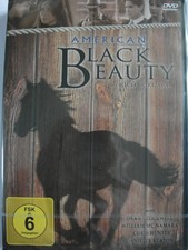 American Black Beauty - Pferde