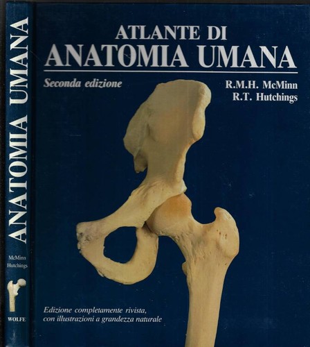 Atlante anatomia umana - atlante, umana.