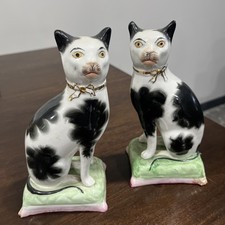 Coppia gatti su cuscini