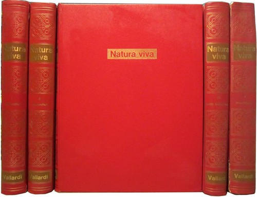 Natura viva enciclopedia - natura,