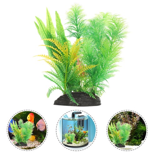 Piante acquatiche piante