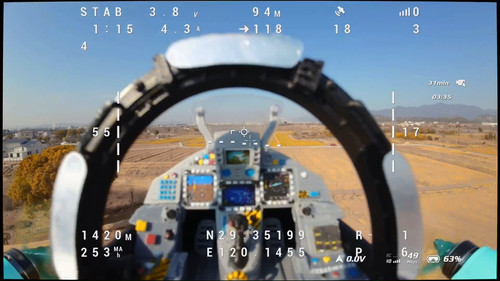 Pinguino fpv stampato - pinguino,