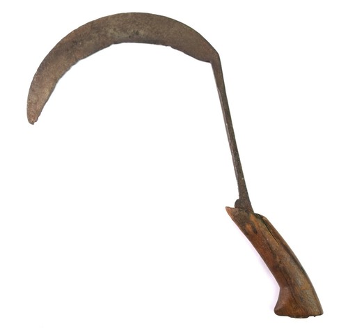 Asiatico tribale corto - asiatico,