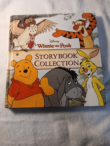 Winnie the pooh storybook - the,