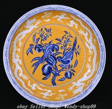 Piatto piatto pappagallo