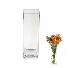 ASSRECT Vaso Vetro Trasparente 25cm Vaso di Vetro Quadrato Grande Vaso (T8P)
