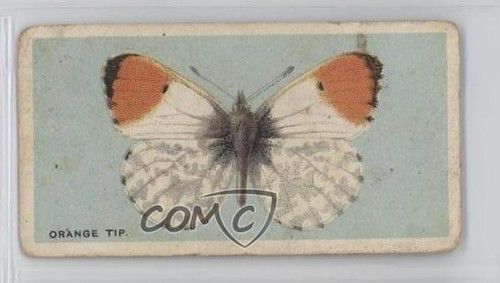 1927 bat farfalle britanniche - bat,