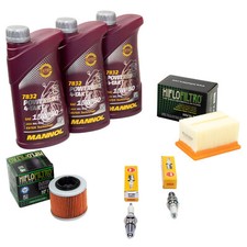 Kit Manutenzione Olio 3L per
