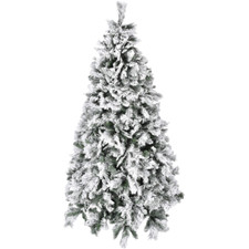 Albero di Natale pino abete
