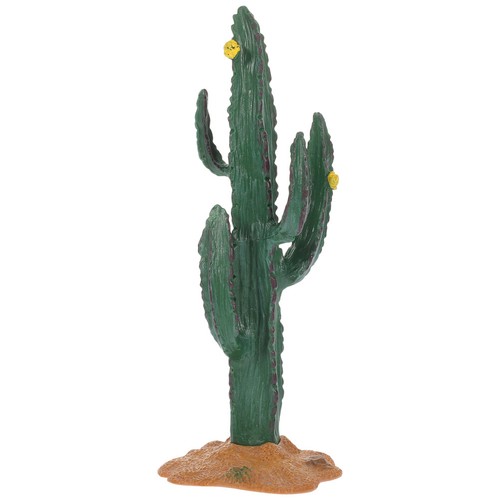 Pianta simulazione cactus