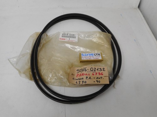 Kit cinghia pompa - cinghia, servosterzo