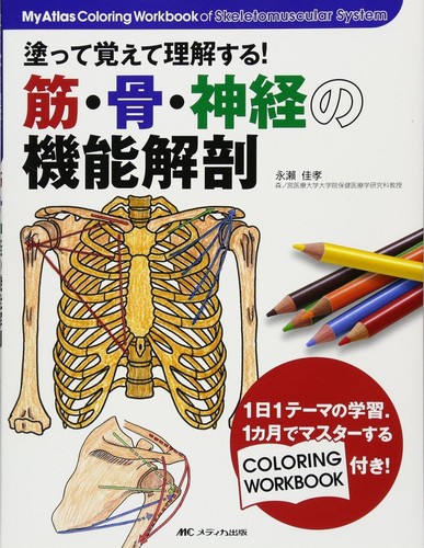Colora memorizza comprendi - memorizza, e