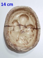 Formella antica per mostarda