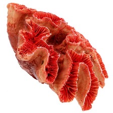  Sfondi Per Decorazioni