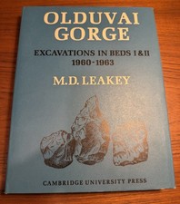 Olduvai Gorge Vol 3