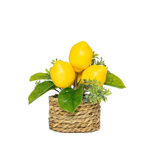 Plastica per mini albero - plastica,