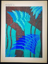 1930,PRISMI POCHOIR ORIGINALI ÉMILE-ALAIN SÊGUY RARI ART NOUVEAU COLORATI A MANO U9X