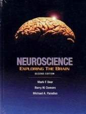 Neuroscience : Exploring the