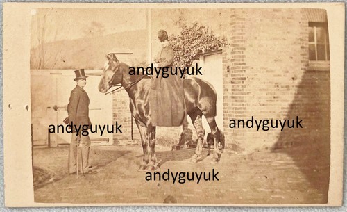 Cdv lady horse riding side - lady,