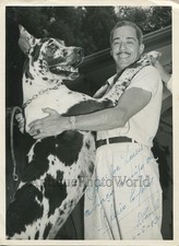Foto Firmata Del Cane Alano Di