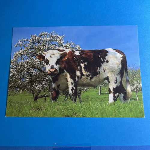 Images normandie non - images,