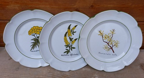 Assiettes ceramiche smaltate - assiettes,