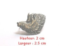 Testa Da Cinghiale Ardennes