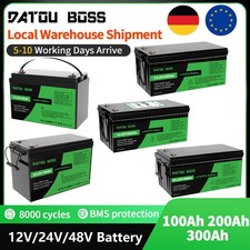 Batteria LiFePO4 12V/24V/48V 100Ah 200Ah 300Ah batteria litio BMS per camper solare