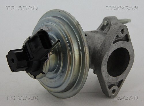 Valvola egr triscan per - egr, ford