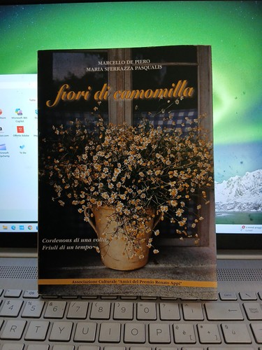 Fiori camomilla cordenons - camomilla,