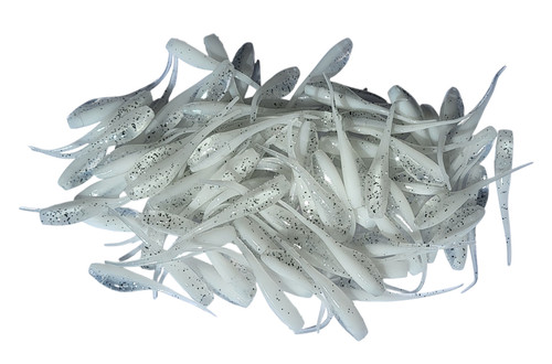 Shad fry minnow - fry,,