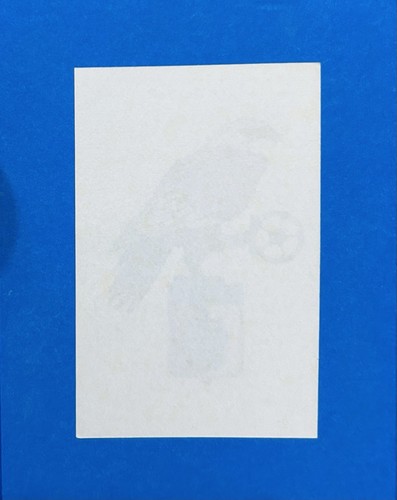 Figurina calciatori panini - figurina,