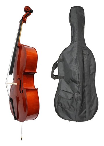 Luthier violoncello student - luthier,