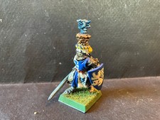 Warhammer Bretonnian fantasy